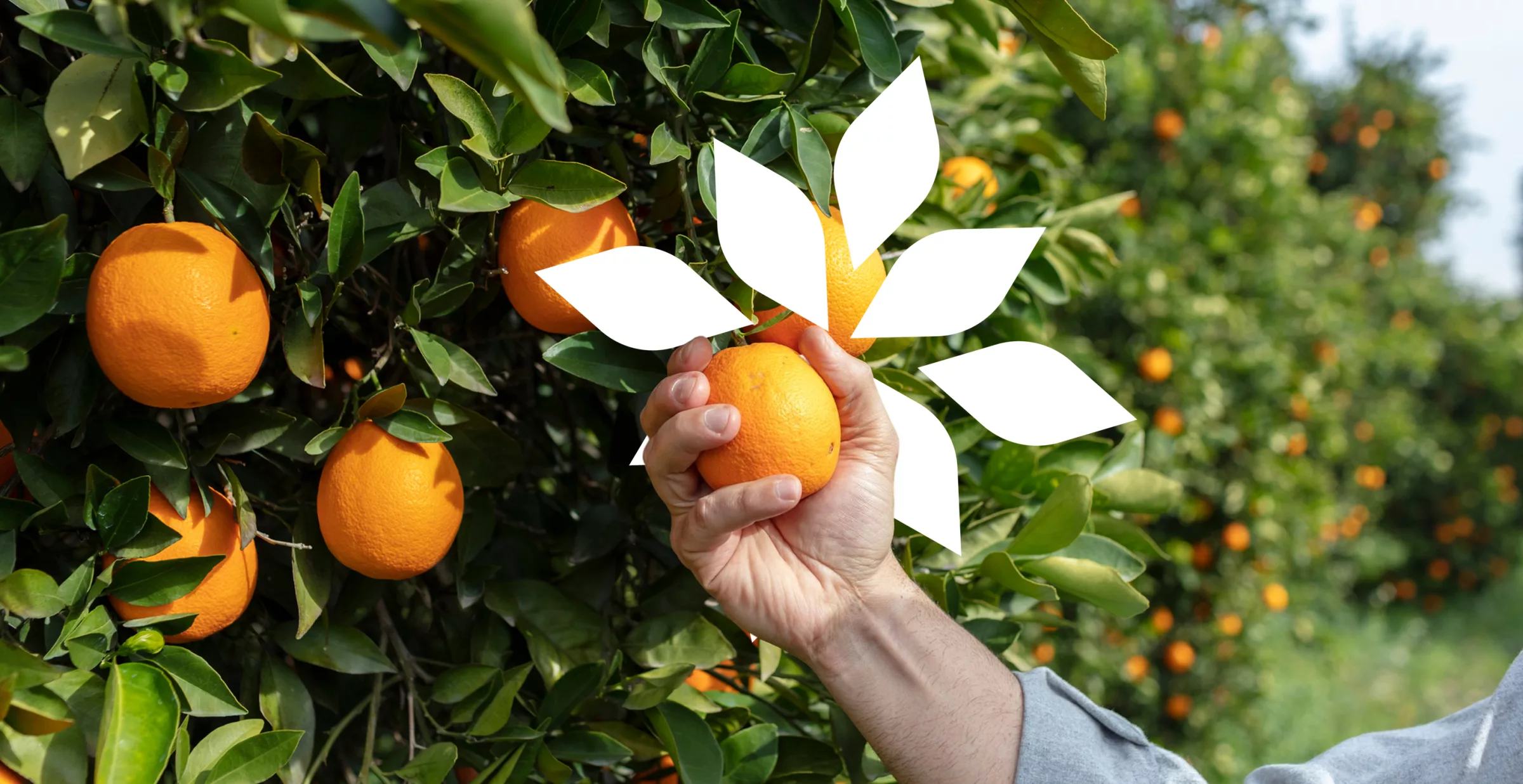 Investing in nature